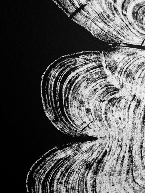 "Cypress" - Tree Print - Black Paper
